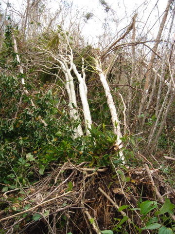 dsc00489.jpg